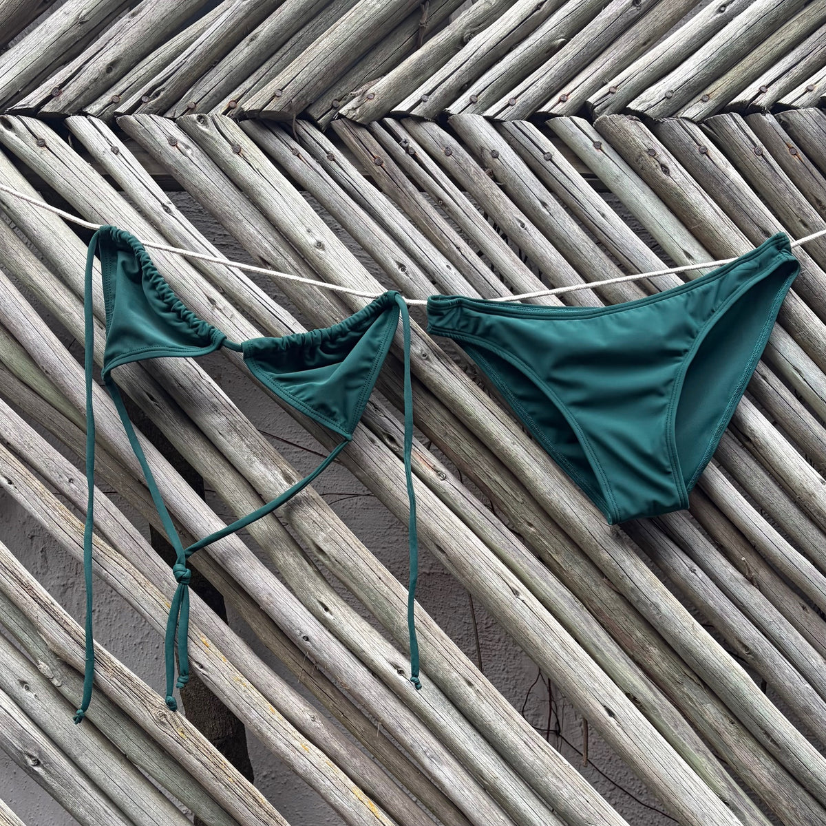Fynbos Triangle Bikini